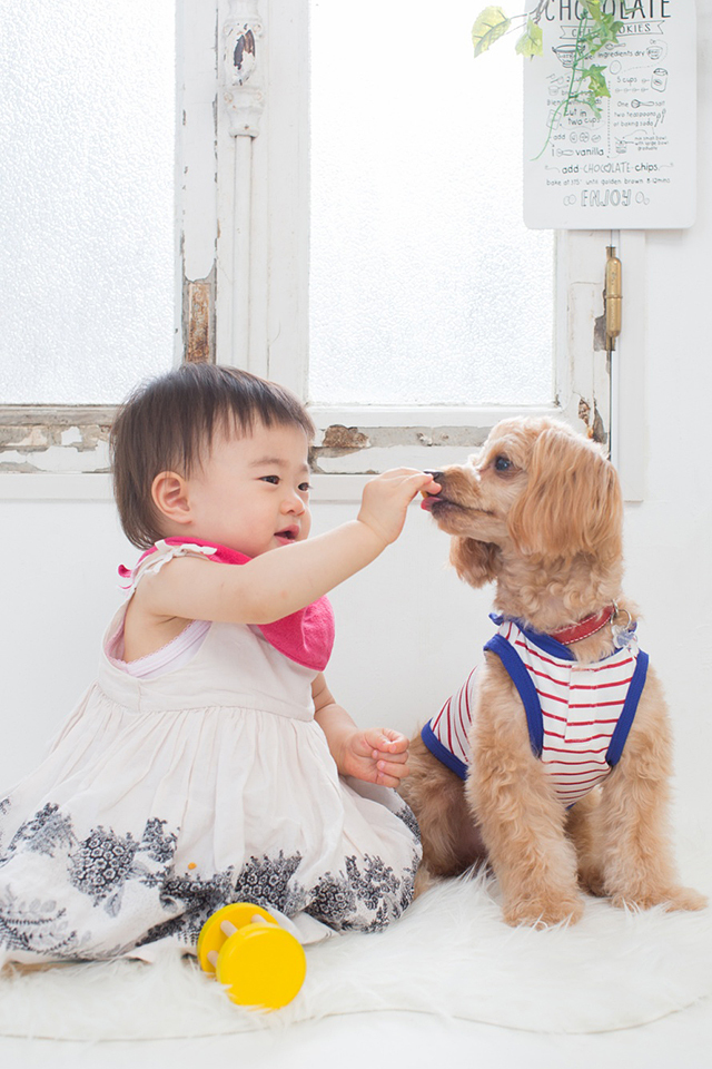 犬と仲良し