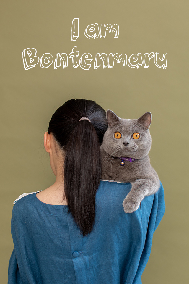 catlove_01_001.jpg