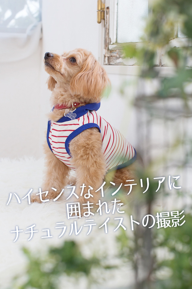 lovedog_02_007.jpg